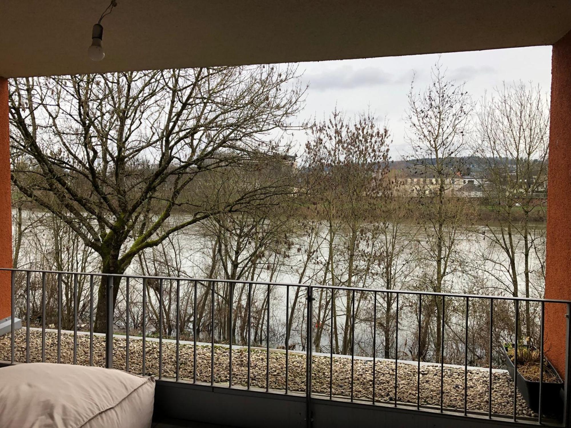 Schickes Apartment Mit Moselblick Трир Екстериор снимка